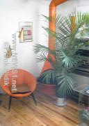 DSC00065_3-25-01 8.20.06 AM.jpg